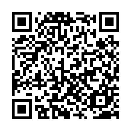 QR code for plate LQM-207