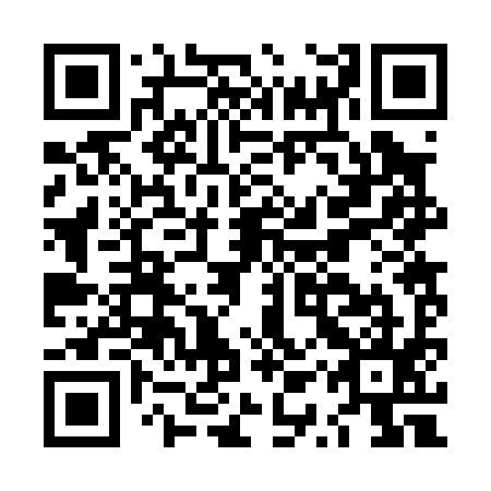 QR code for LQR095