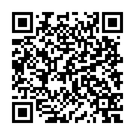 QR code for plate LRN-536