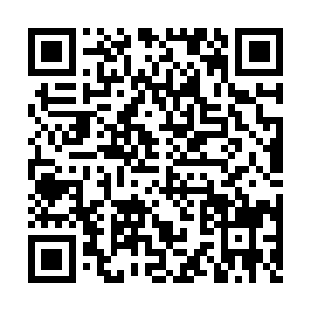 QR code for LS1-Z995