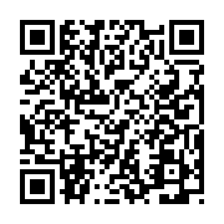 QR code for LS3-Q596