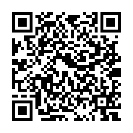 QR code for LV0-Q959
