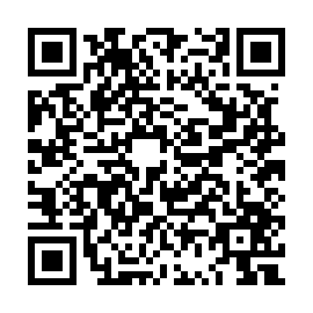 QR code for LV0E476