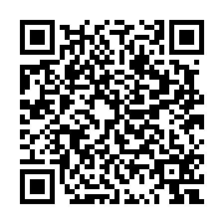 QR code for LV1-D161