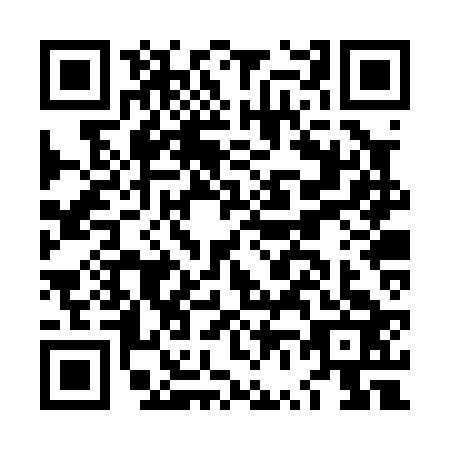 QR code for LV2-P236