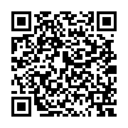 QR code for LV3-P828