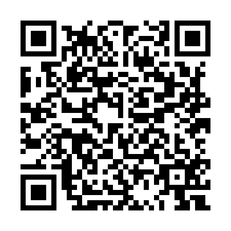 QR code for LV8I163