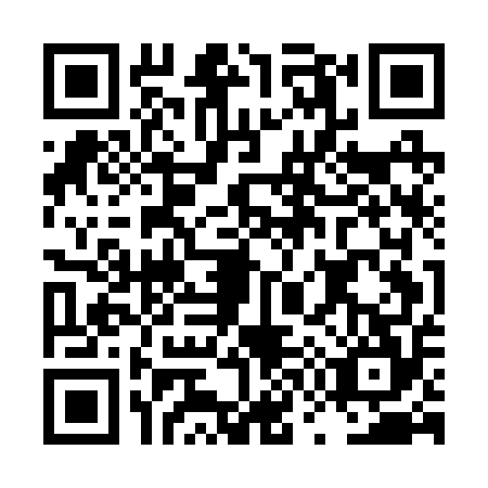QR code for plate LW5-B545
