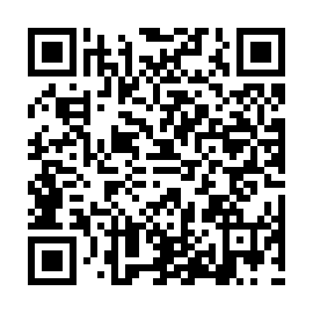 QR code for plate LX0-R449