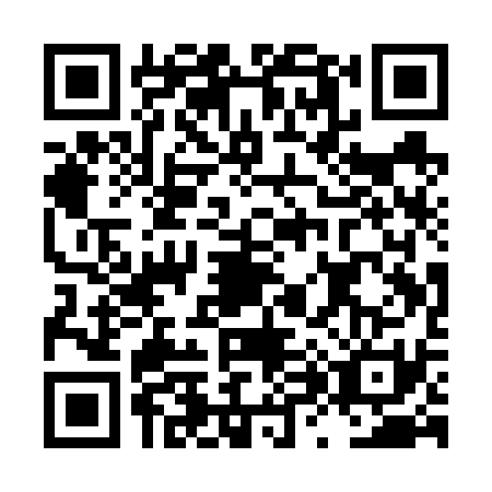 QR code for LX1V315