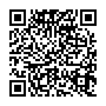 QR code for plate LX3-A992