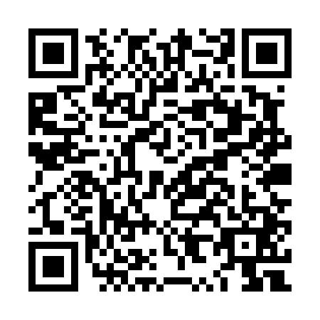 QR code for LX5-T411
