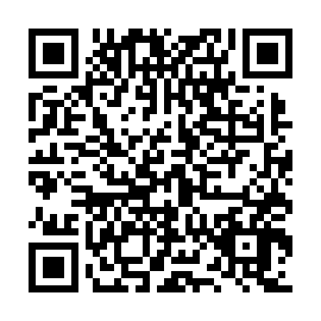 QR code for plate LX5-N460