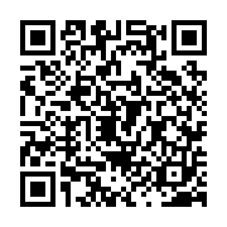 QR code for LYN-2536