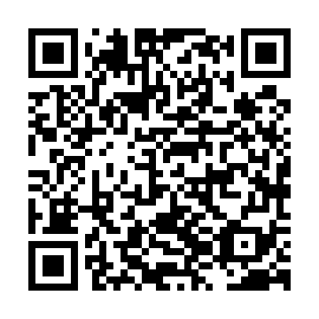 QR code for LZH-579