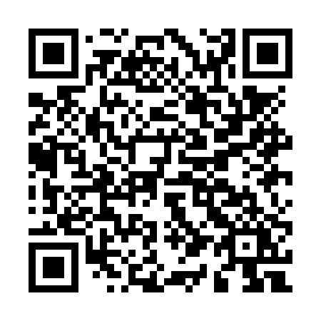 QR code for plate M11-NPY