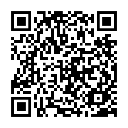 QR code for M51-NEL
