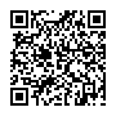 QR code for plate M91-NHL