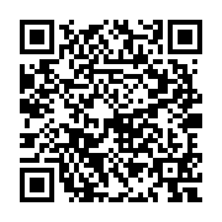 QR code for plate MA8-V919