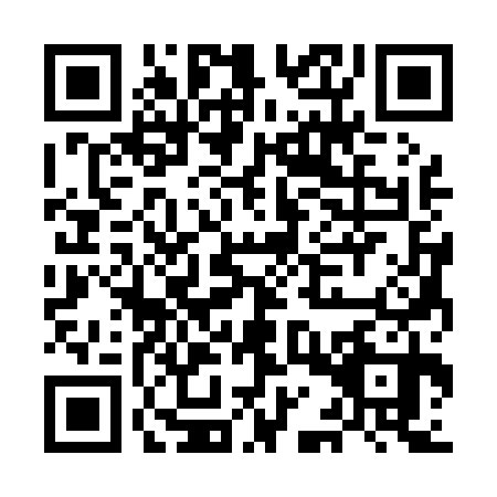 QR code for MAS-0304