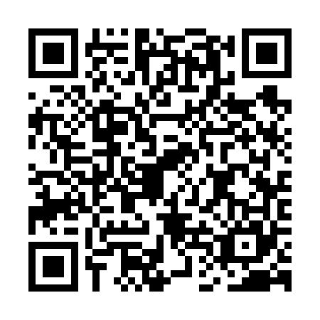 QR code for MDC6653