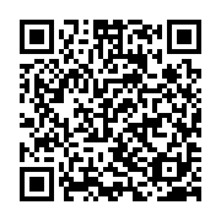 QR code for plate MDM-391