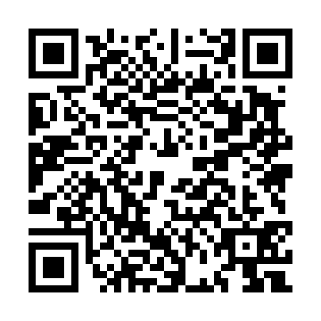 QR code for plate MFM-4317