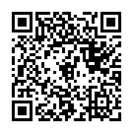 QR code for plate MG1-A455