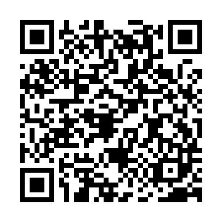 QR code for plate MG9-I838