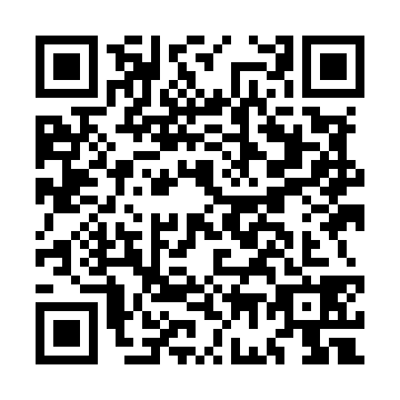 QR code for MG9M383