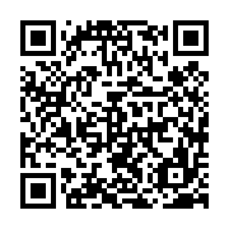 QR code for plate MGX-416