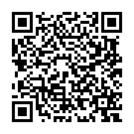 QR code for plate MH0-L255