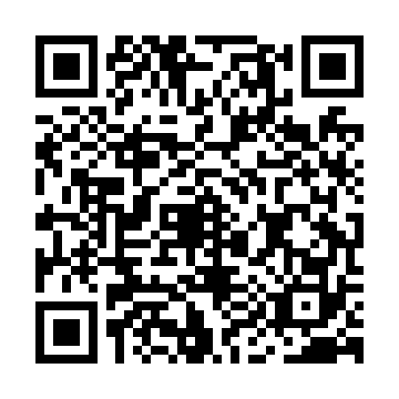 QR code for MI8-N728