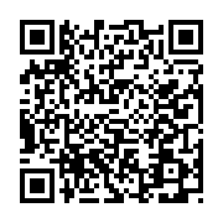 QR code for ML4-Q411