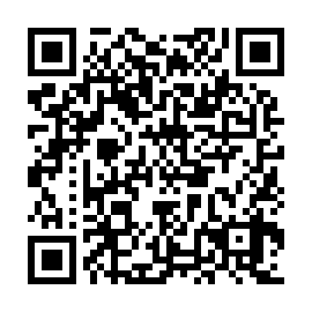 QR code for plate MNN-938