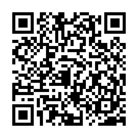 QR code for MP9-P638