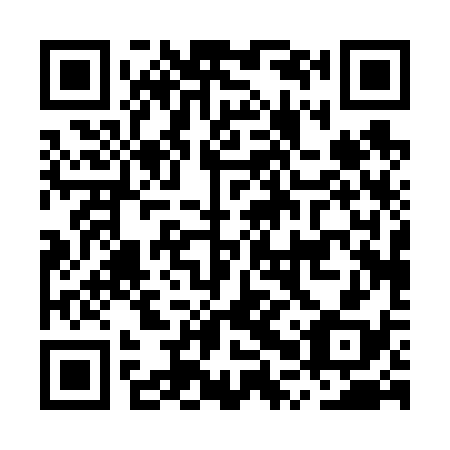 QR code for plate MPP-638