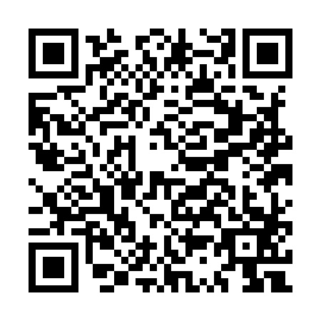 QR code for MS1-I838