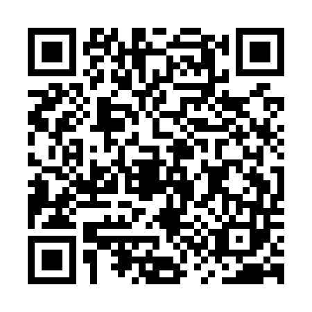 QR code for MS1O433