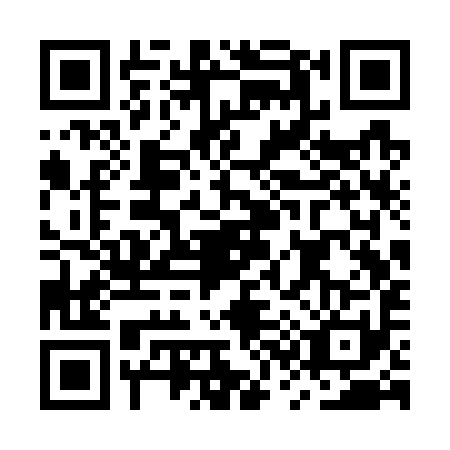 QR code for MS3-W919