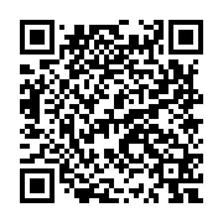 QR code for MSA960