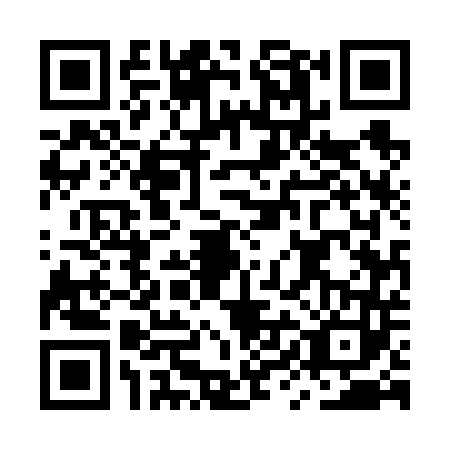 QR code for plate MYE-6433