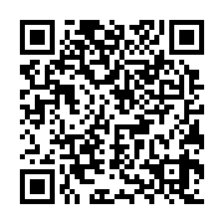 QR code for plate MYG-339