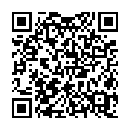 QR code for N01-FOE