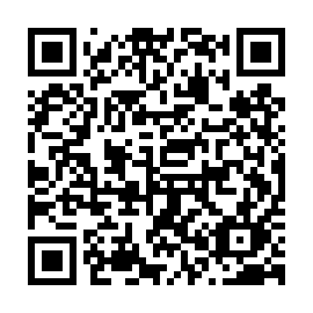 QR code for plate N01-DQL