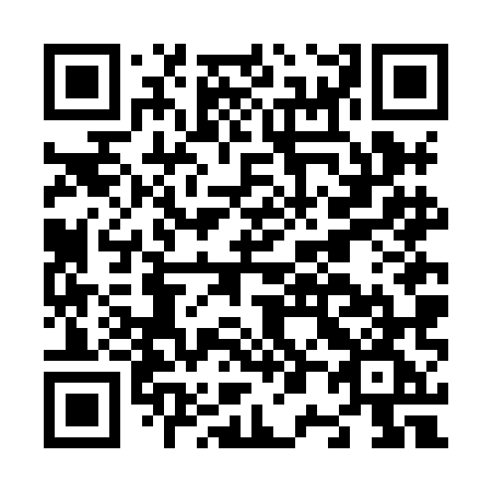 QR code for plate N06-HMG