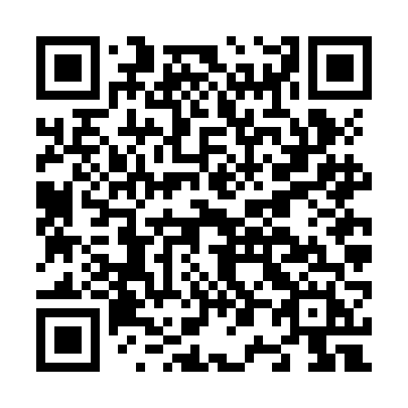 QR code for plate N06-JFH