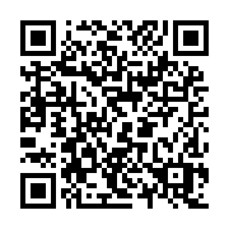QR code for N10-IIT