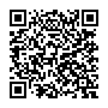 QR code for N10-LOI