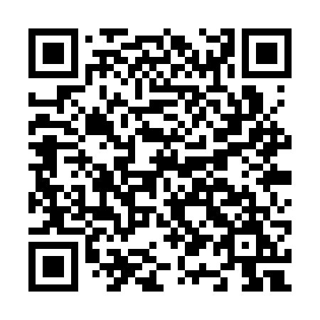 QR code for N11-SVM